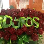 Idyros